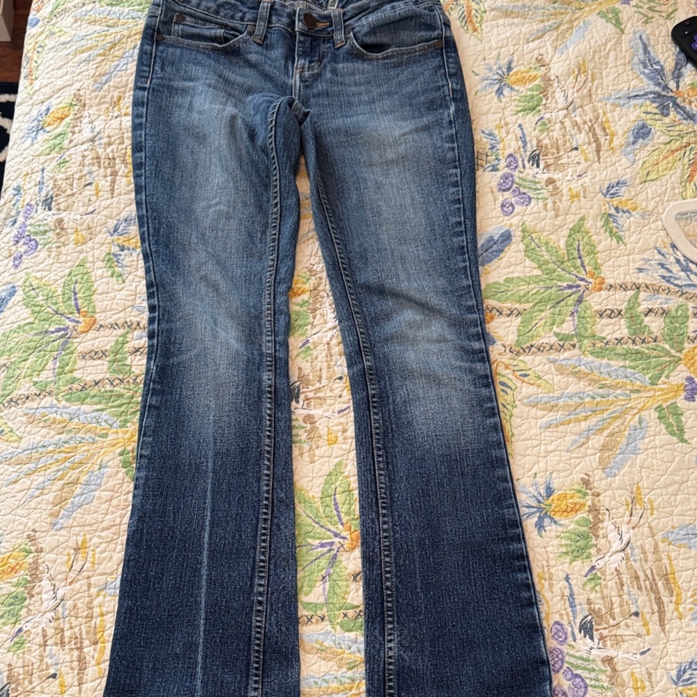 American Rag Boot Cut Jeans Petite